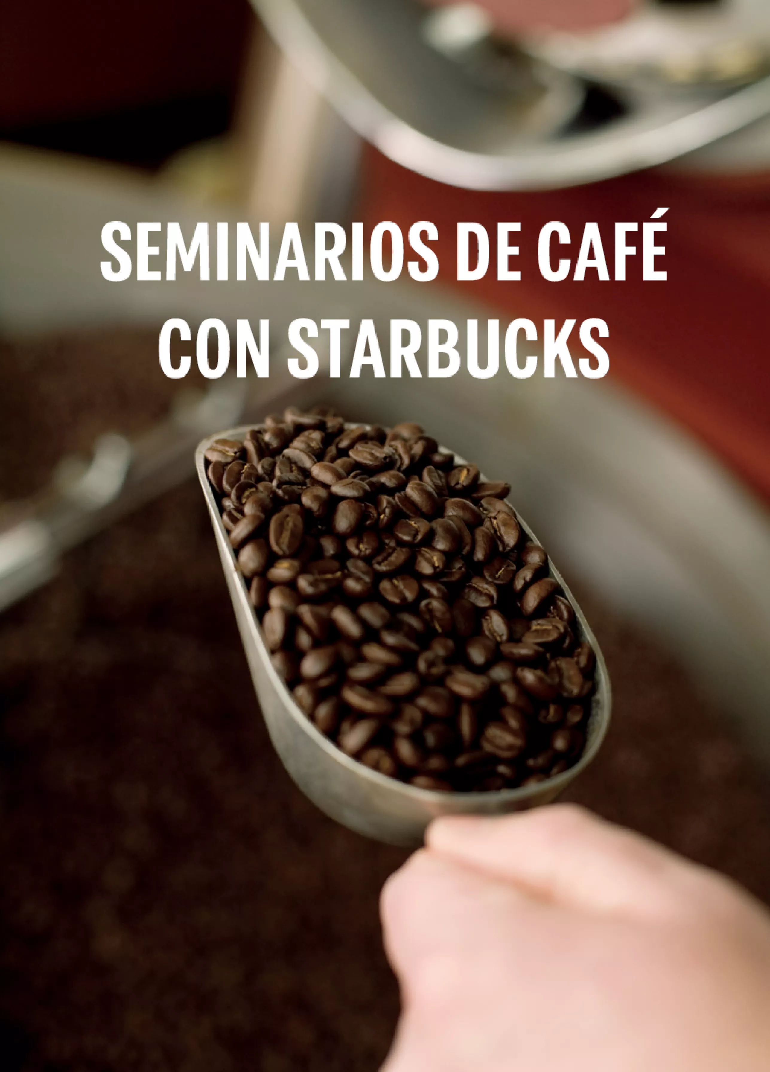 Imagen de Café - Seminarios de Café