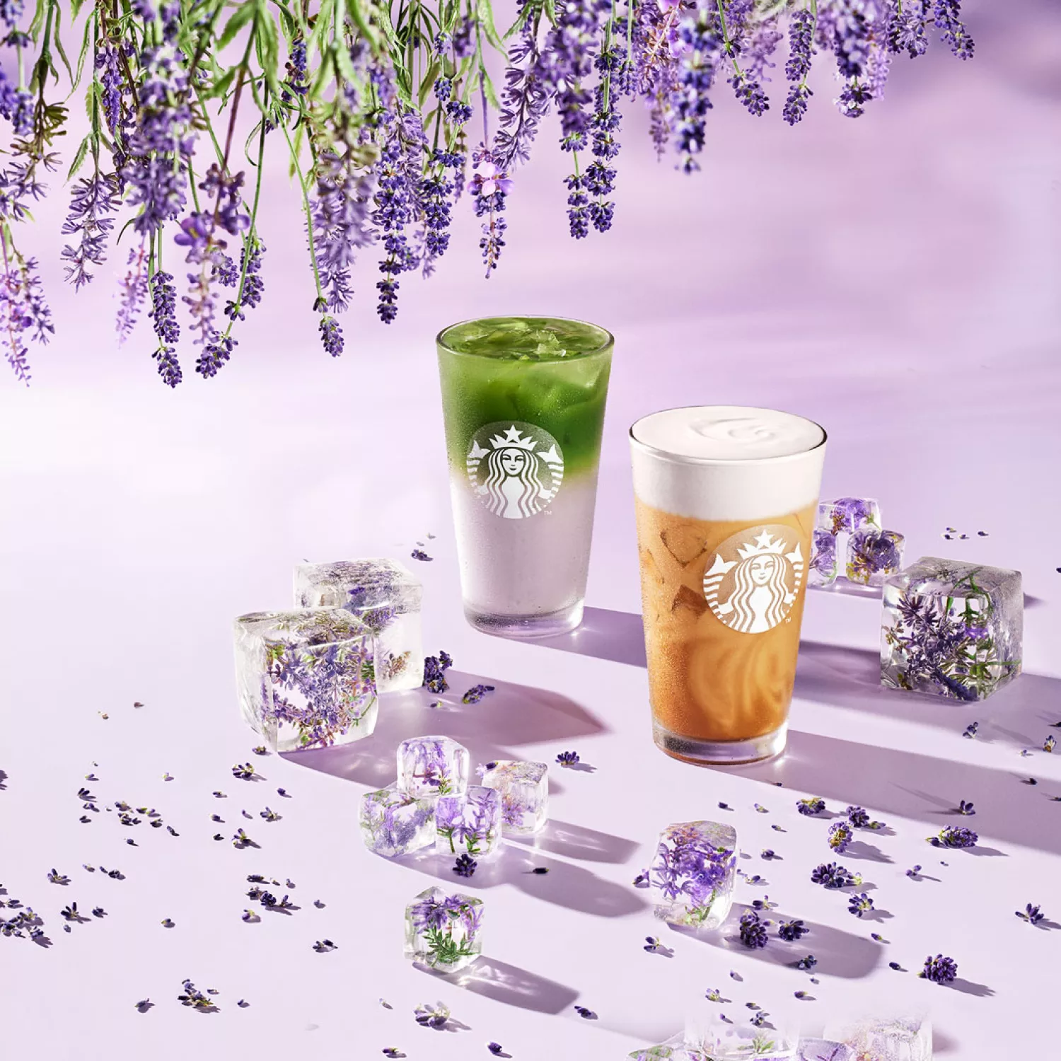 Esta primavera sabe a Lavanda🪻
