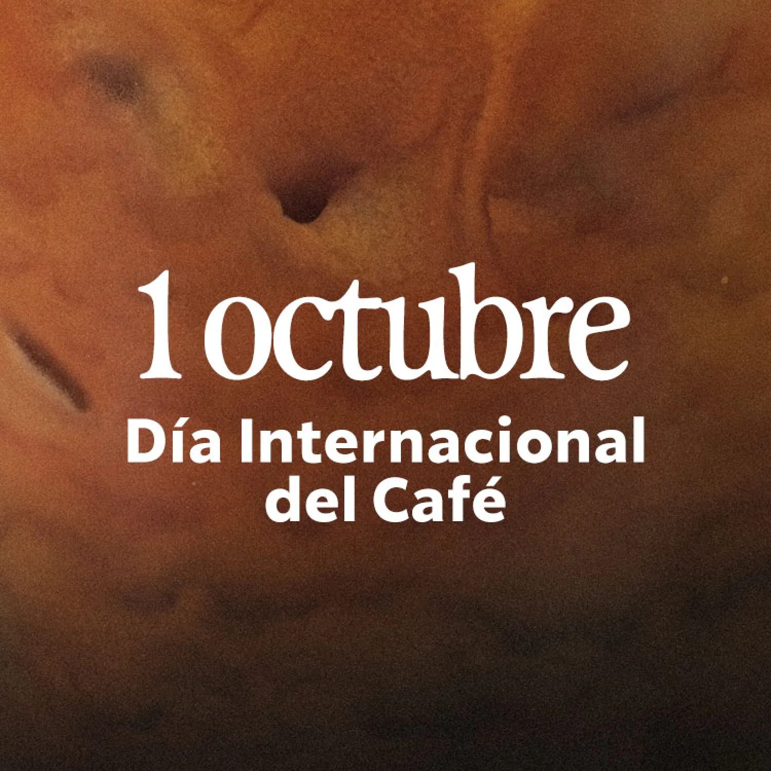 Feliz Día Internacional del Café